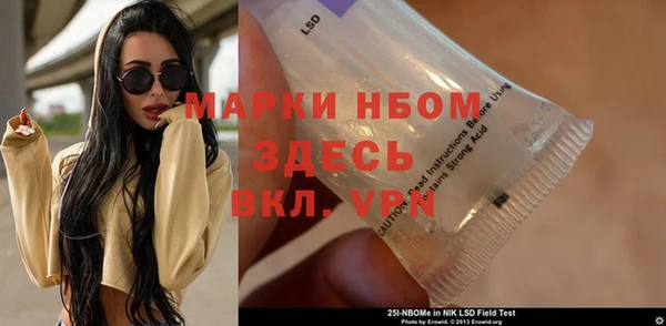прущие грибы Абаза