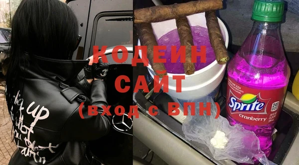 прущие грибы Абаза