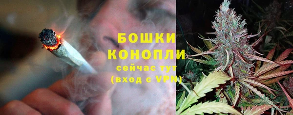 прущие грибы Абаза