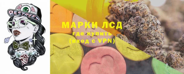 прущие грибы Абаза