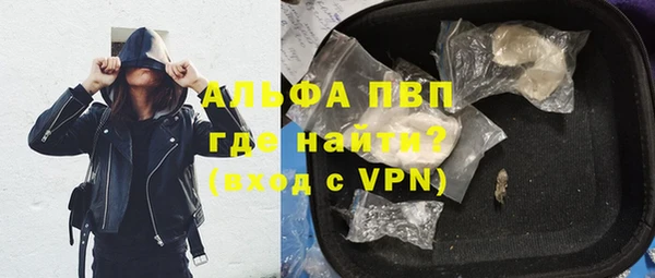 прущие грибы Абаза