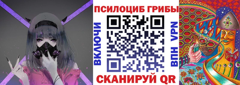 Псилоцибиновые грибы ЛСД KRAKEN как зайти Тихорецк