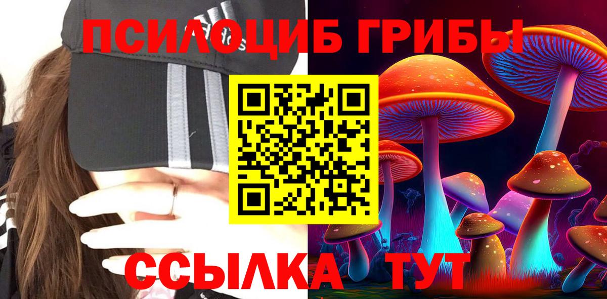 Псилоцибиновые грибы MAGIC MUSHROOMS  Вход с VPN  Тихорецк 